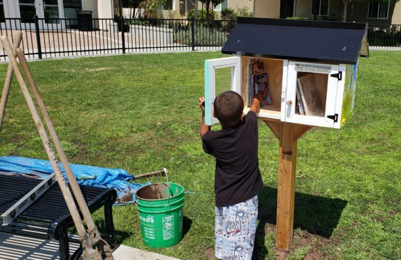 Photo of a Free Little Library